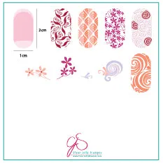 Clear Jelly Stamper September 2020 CjSPMC-05 06 pladesæt