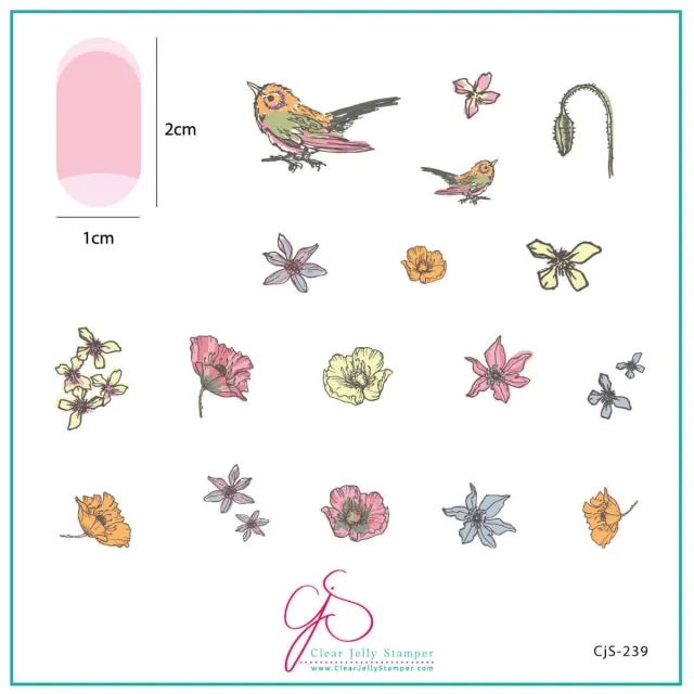 Clear Jelly Stamper CjS-239 Sweet Tweet stampingplade kolibri