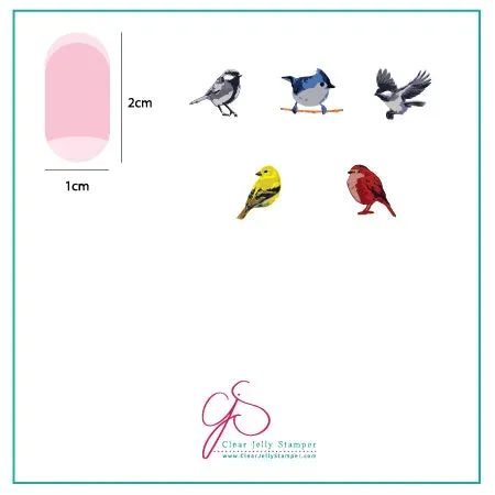 Clear Jelly Stamper Itty Bitty Birds CjS-30 stampingplade fugle