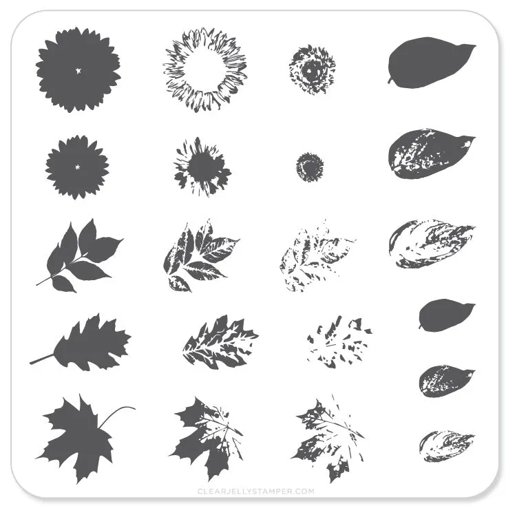 Clear Jelly Stamper CjS-26 Sunflower stampingplade 6x6 blomst