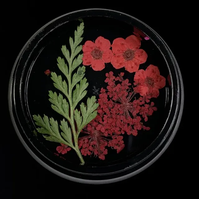 Indigo Nails Red tørrede blomster til negle