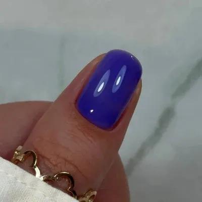 Didier Lab BBIO Builder Gel Violet Iris 15ml violet