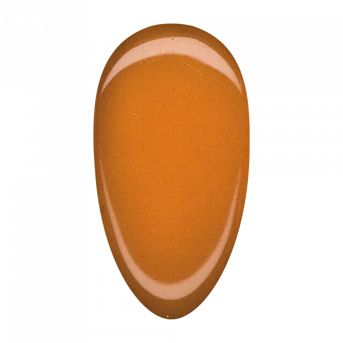 Nail Supply Color Caramel FC-028 gelelak 5g beige