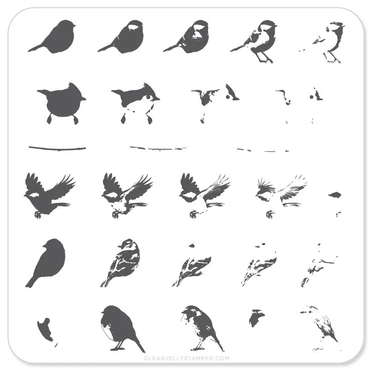 Clear Jelly Stamper Itty Bitty Birds CjS-30 stampingplade fugle