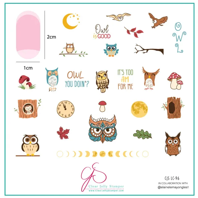 Clear Jelly Stamper CjSLC-96 Owl is Good stampingplade 8x8 cm