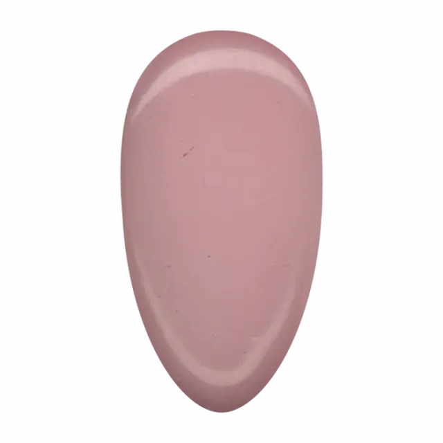 Nail Supply Color Rosenholz FC-047 gellak rosa 5g