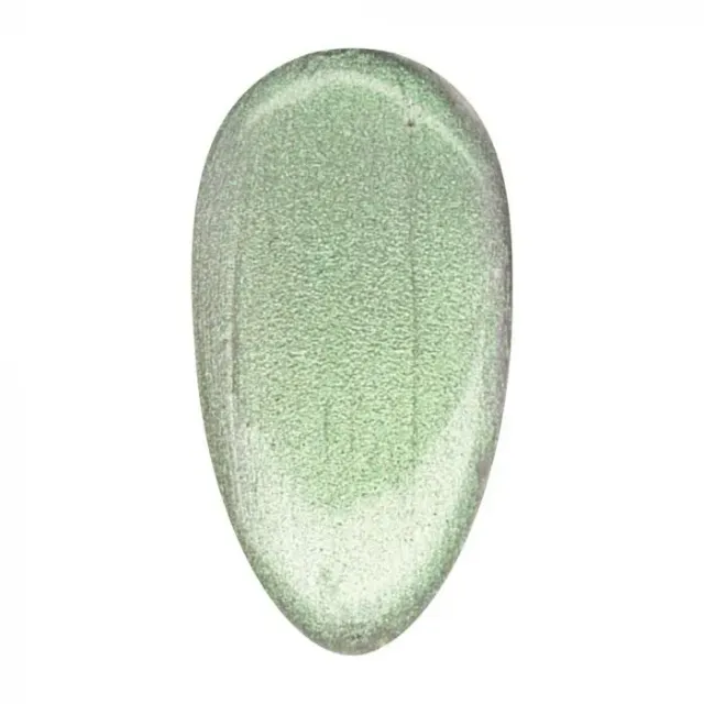 Nail Supply Fairytale FT-001 gel Fit 5g shimmer