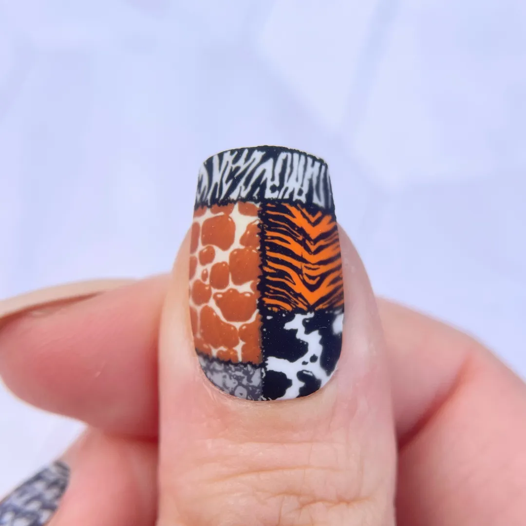 Clear Jelly Stamper CjS-342 Animal Print stamping plade