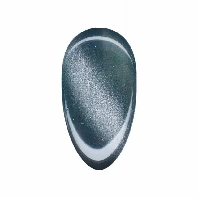 Nail Supply Cat Eye Moroni CE-004 gellak 5g magnet