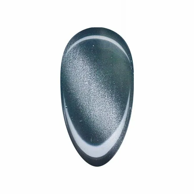 Nail Supply Cat Eye Moroni CE-004 gellak 5g magnet