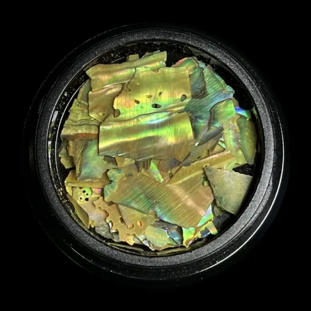 Beautystones Yellow Shells neglepynt gul